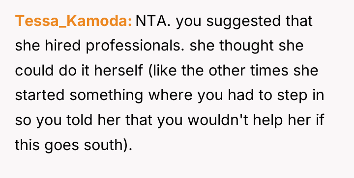 Tessa_Kamoda NTA. you suggested that she hired professionals. she thought...