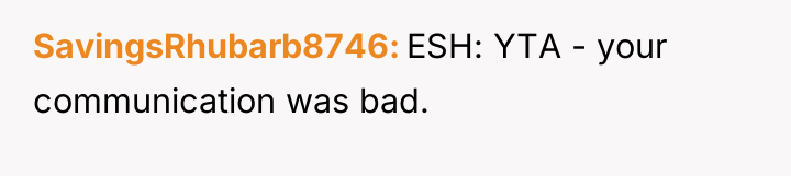 SavingsRhubarb8746 ESH: YTA - your communication was bad.