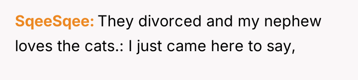 SqeeSqee They divorced and my nephew loves the cats.: I...