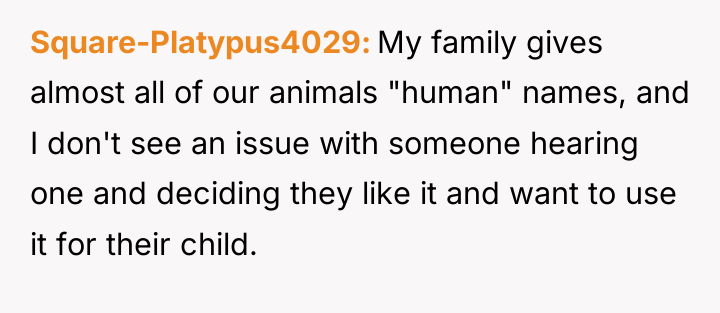 Square-Platypus4029 My family gives almost all of our animals "human"...