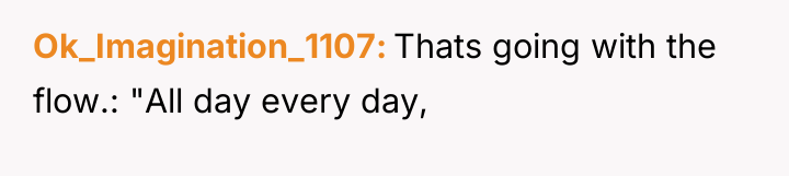 Ok_Imagination_1107 Thats going with the flow.: "All day every day,