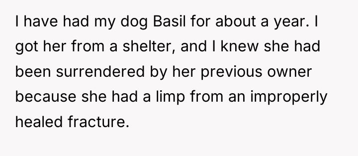 I have had my dog Basil for about a year....