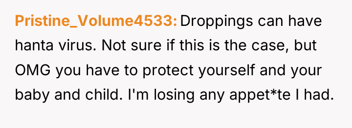 Pristine_Volume4533 Droppings can have hanta virus. Not sure if this...