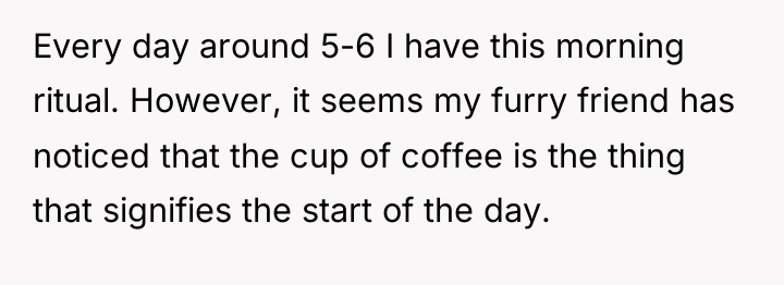 Every day around 5-6 I have this morning ritual. However,...