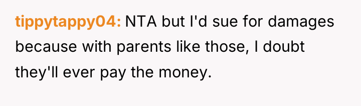 tippytappy04 NTA but I'd sue for damages because with parents...