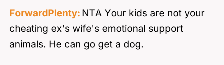 ForwardPlenty NTA Your kids are not your cheating ex's wife's...