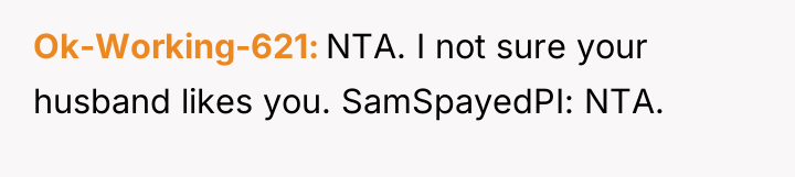 Ok-Working-621 NTA. I not sure your husband likes you. SamSpayedPI:...