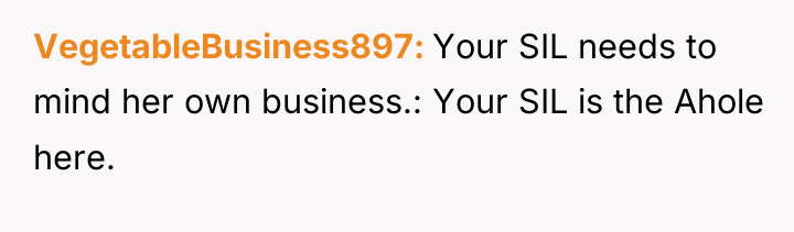 VegetableBusiness897 Your SIL needs to mind her own business.: Your...