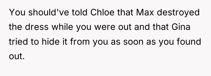 You should've told Chloe that Max destroyed the dress while...