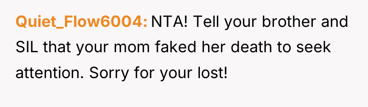 Quiet_Flow6004 NTA! Tell your brother and SIL that your mom...