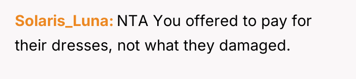 Solaris_Luna NTA You offered to pay for their dresses, not...
