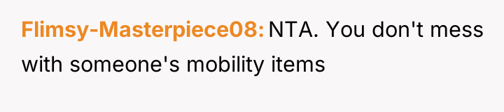 Flimsy-Masterpiece08 NTA. You don't mess with someone's mobility items