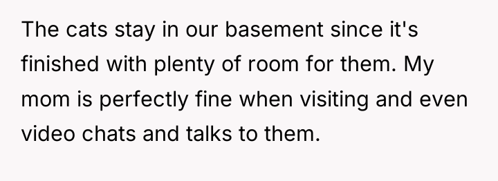 The cats stay in our basement since it's finished with...