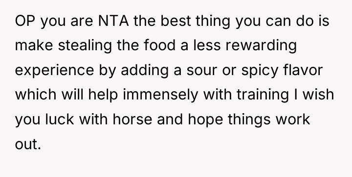 OP you are NTA the best thing you can do...