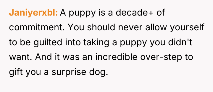 Janiyerxbl A puppy is a decade+ of commitment. You should...