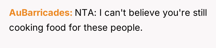 AuBarricades NTA: I can't believe you're still cooking food for...