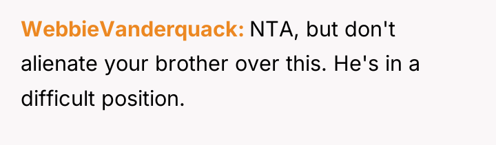 WebbieVanderquack NTA, but don't alienate your brother over this. He's...