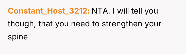 Constant_Host_3212 NTA. I will tell you though, that you need...