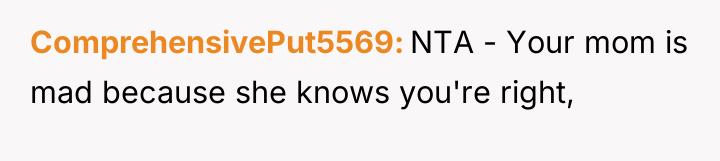 ComprehensivePut5569 NTA - Your mom is mad because she knows...