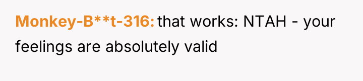 Monkey-B**t-316 that works: NTAH - your feelings are absolutely valid