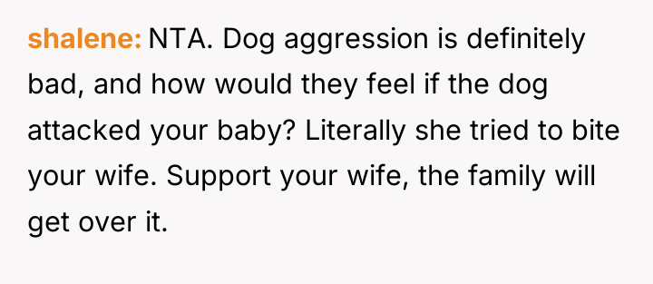 shalene NTA. Dog aggression is definitely bad, and how would...
