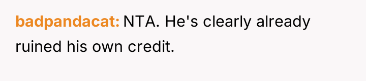 badpandacat NTA. He's clearly already ruined his own credit.