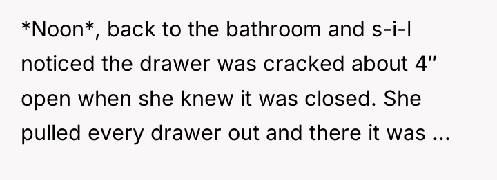 *Noon*, back to the bathroom and s-i-l noticed the drawer...