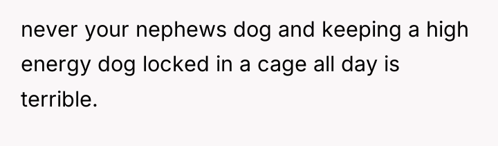 never your nephews dog and keeping a high energy dog...