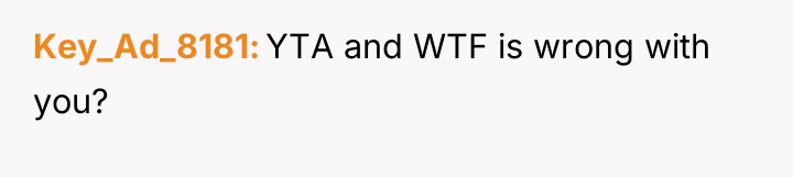 Key_Ad_8181 YTA and WTF is wrong with you?