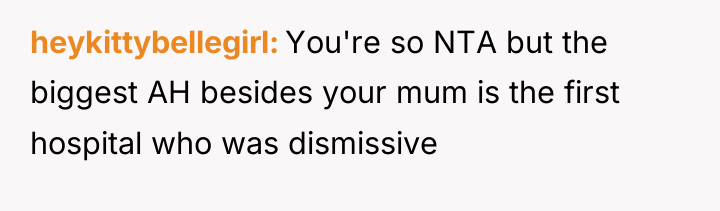 heykittybellegirl You're so NTA but the biggest AH besides your...