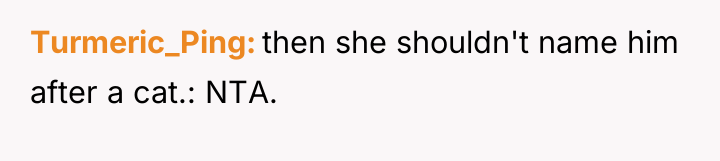 Turmeric_Ping then she shouldn't name him after a cat.: NTA.