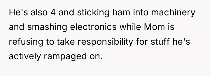 He's also 4 and sticking ham into machinery and smashing...