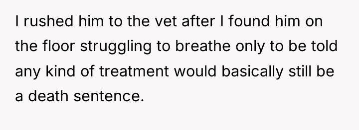 I rushed him to the vet after I found him...