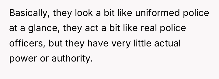 Basically, they look a bit like uniformed police at a...