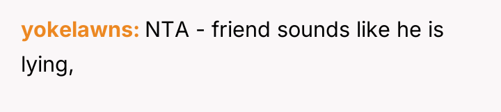yokelawns NTA - friend sounds like he is lying,