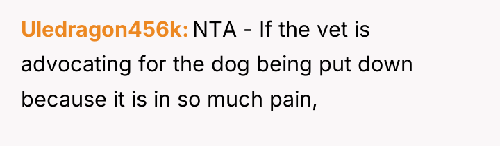 Uledragon456k NTA - If the vet is advocating for the...
