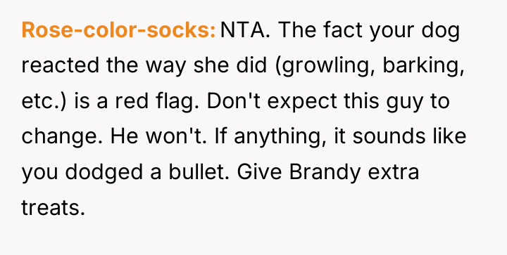 Rose-color-socks NTA. The fact your dog reacted the way she...