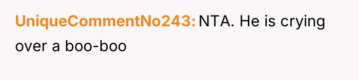 UniqueCommentNo243 NTA. He is crying over a boo-boo