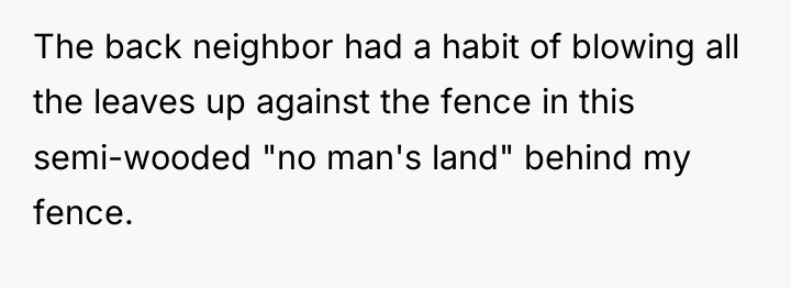The back neighbor had a habit of blowing all the...