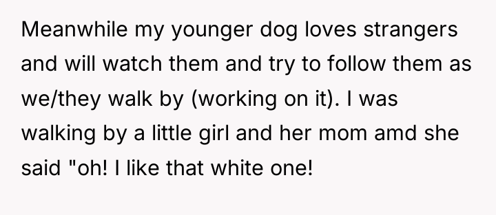 Meanwhile my younger dog loves strangers and will watch them...