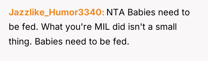 Jazzlike_Humor3340 NTA Babies need to be fed. What you're MIL...