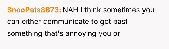SnooPets8873 NAH I think sometimes you can either communicate to...