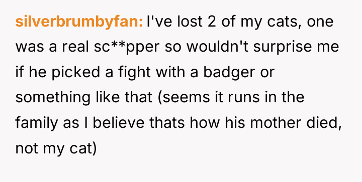 silverbrumbyfan I've lost 2 of my cats, one was a...