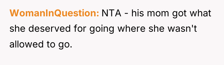 WomanInQuestion NTA - his mom got what she deserved for...