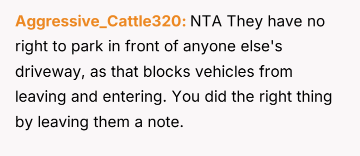 Aggressive_Cattle320 NTA They have no right to park in front...