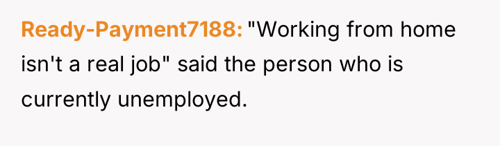 Ready-Payment7188 "Working from home isn't a real job" said the...