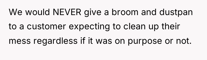 We would NEVER give a broom and dustpan to a...