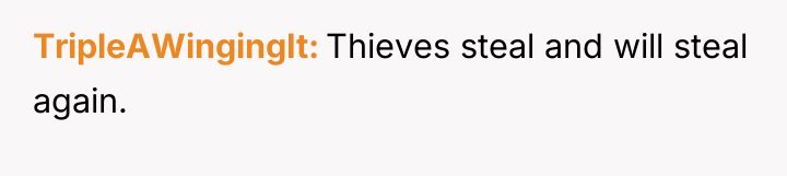 TripleAWingingIt Thieves steal and will steal again.