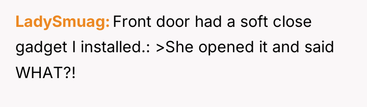 LadySmuag Front door had a soft close gadget I installed.:...