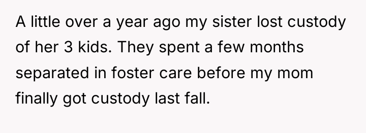 A little over a year ago my sister lost custody...